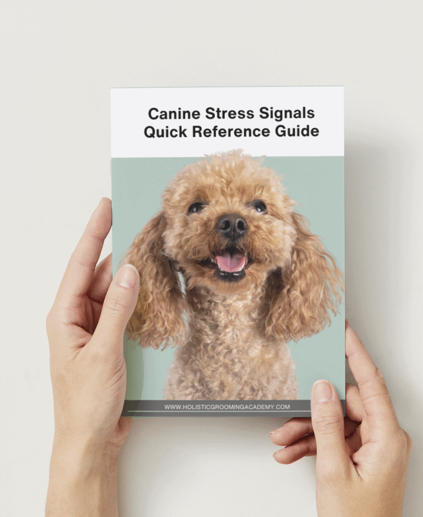 Screenshot 2025 12 14 at 16.26.48