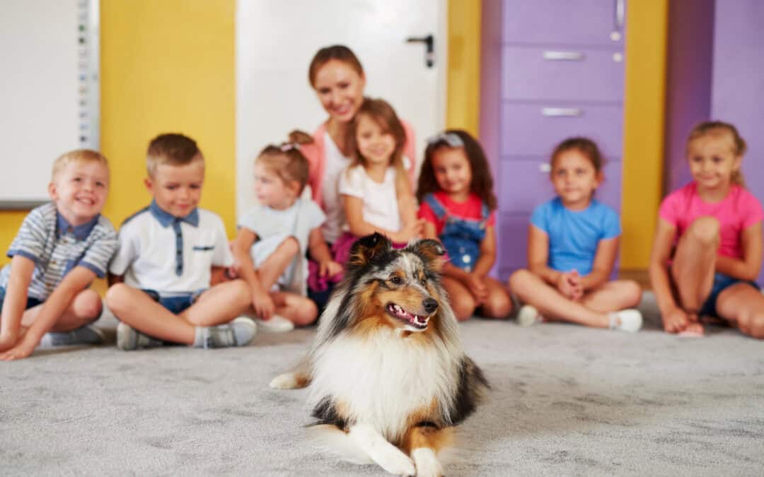Safe Dog Interaction: Respect, Consent, and Safeguarding Families with Dogs