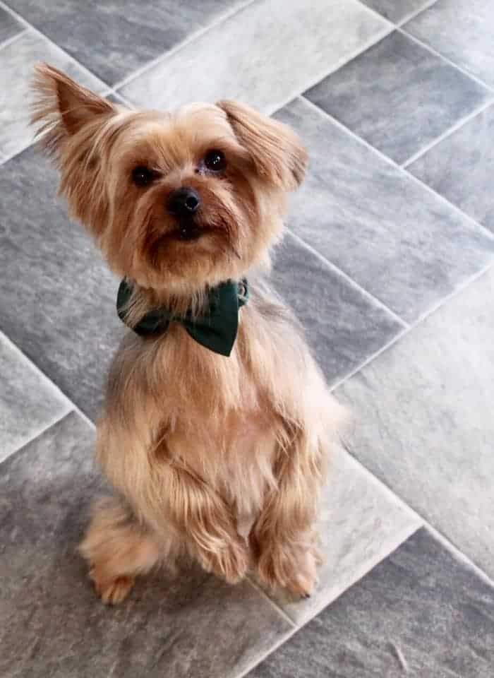 52653728 303774093673855 2361534213758386176 n