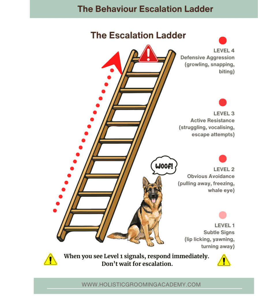 Stress Signals Quick Reference Guide for Professional Groomers 3