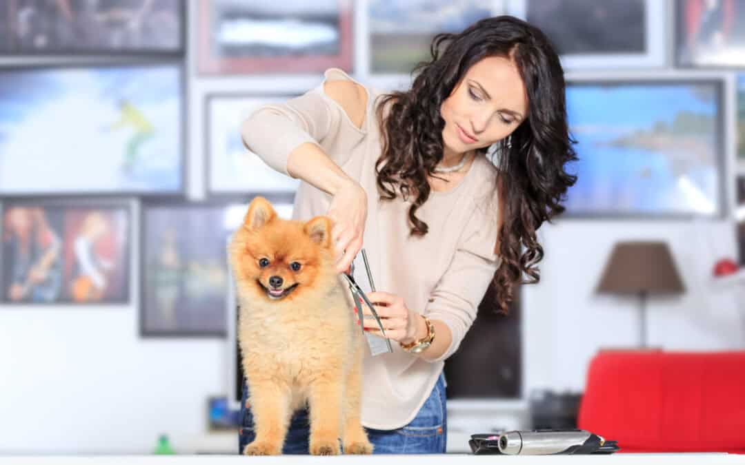 Why Time Restraints Risk Safety In Grooming Environments