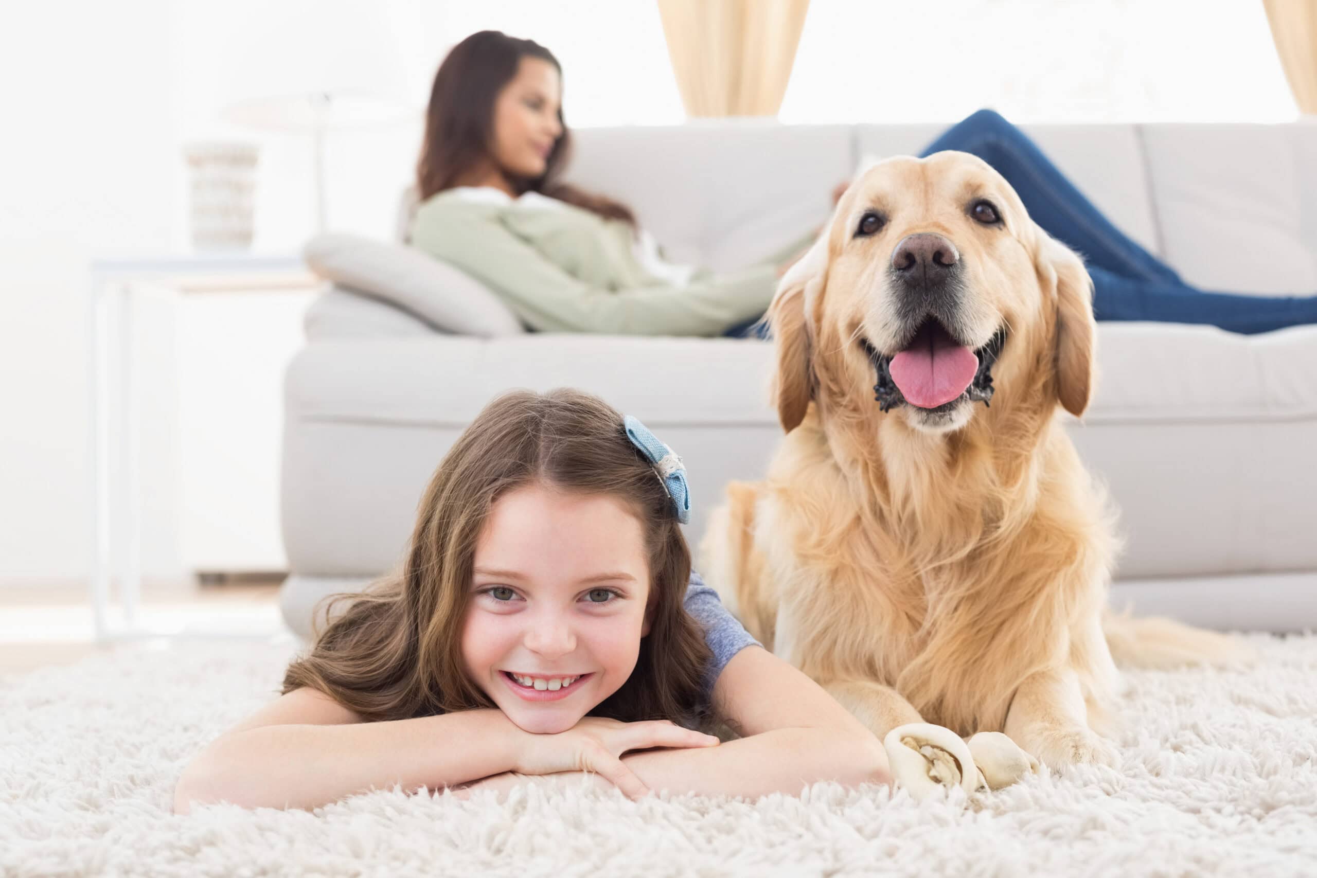 childproofing your home for your dog