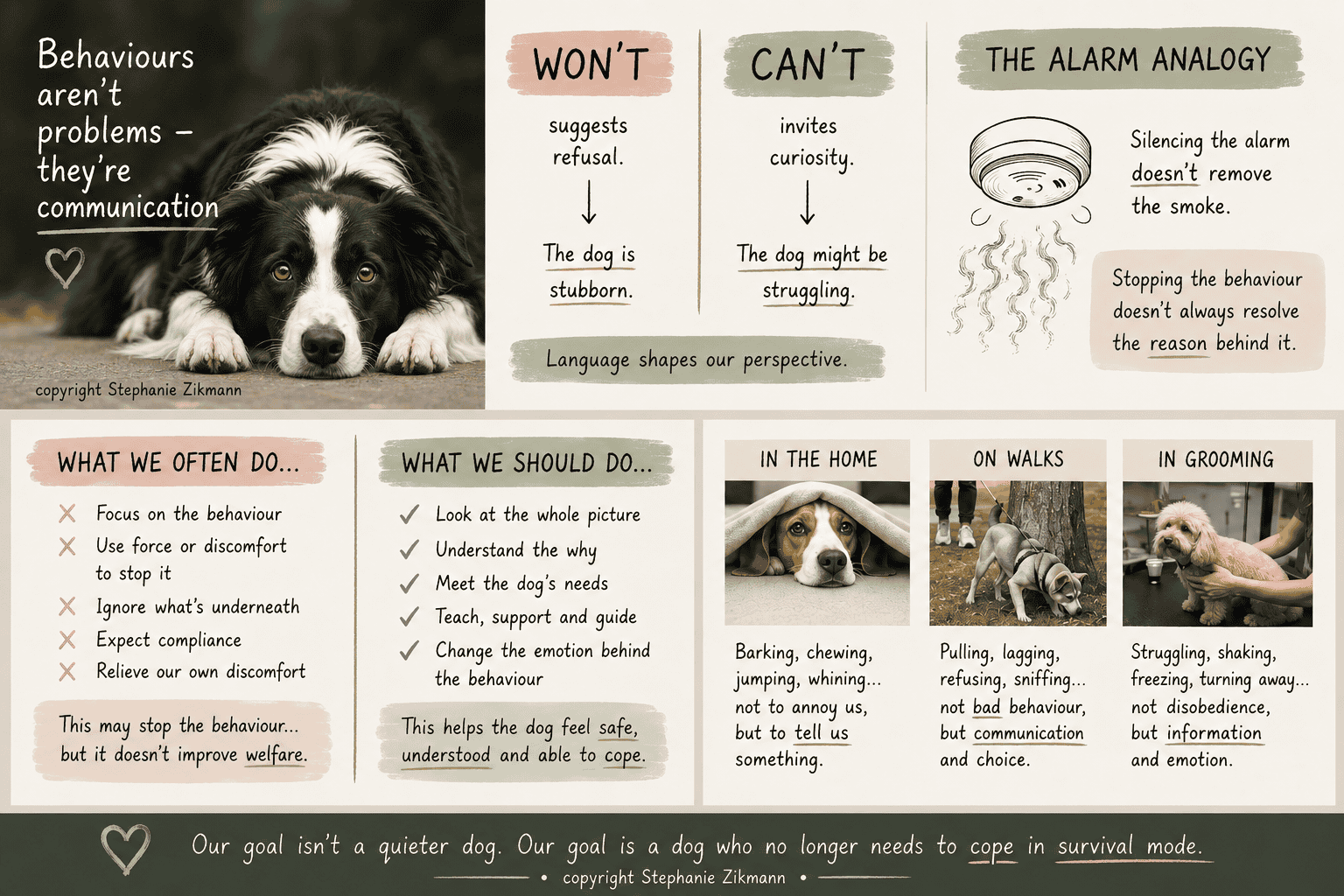 An infographic that summarises the harm in trying to stop unwanted dog behaviour