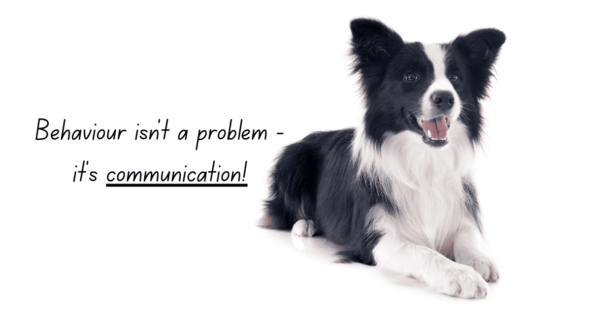 Behaviours aren’t problems