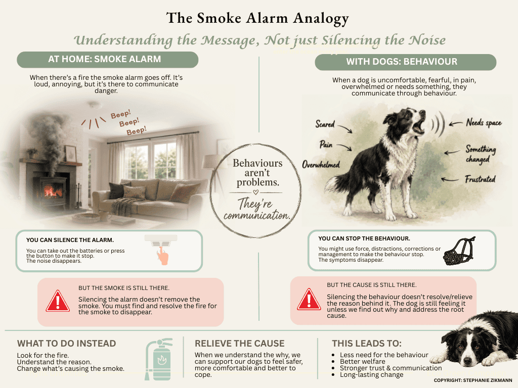 The Smoke Alarm Analogy Clear